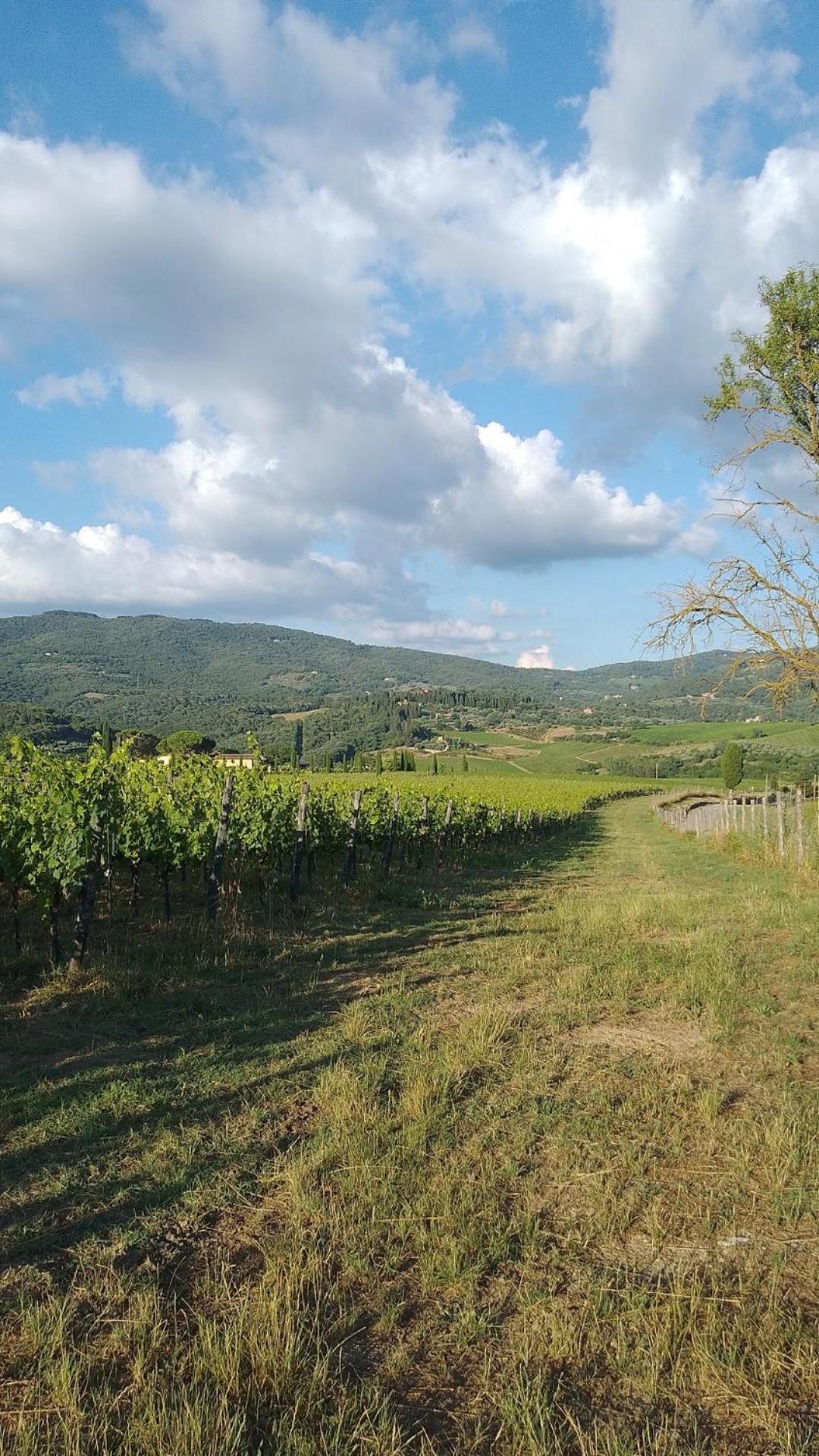 La Turra - Casa Di Campagna เกรเว อิน เคียนตี ภายนอก รูปภาพ